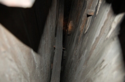 I dråpefallet ser vi bjelke endene stikke ut gjennom laftet. De ser rimelig bra ut.